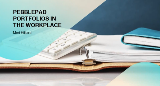 Portfolios in the Workplace