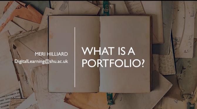 What is a portfolio?