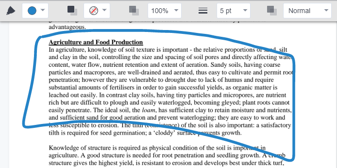 Annotate submission with freehand drawing