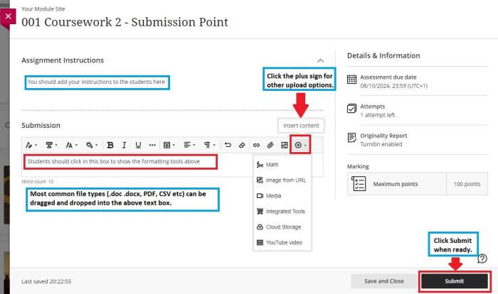 Student view of a submission point