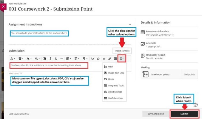 Student view of a submission point