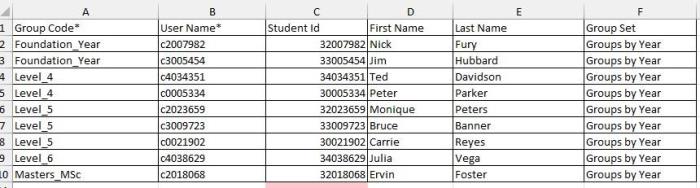 Group template