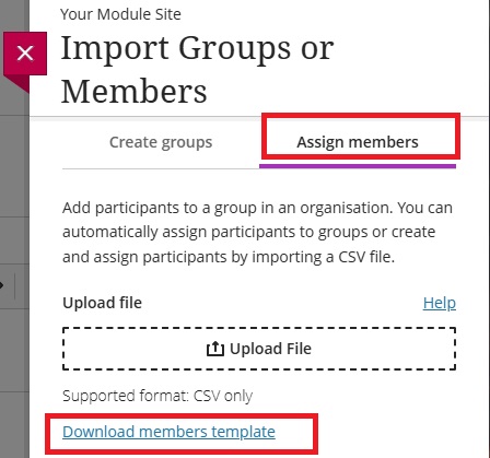 Downloads members template