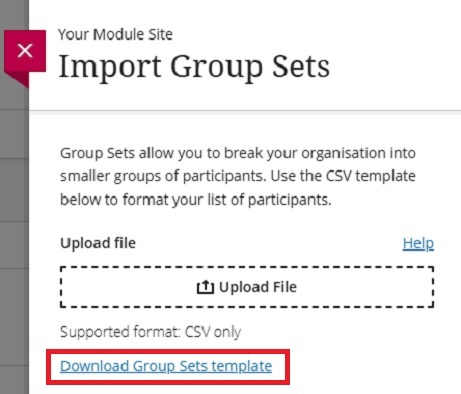 Import group sets download template