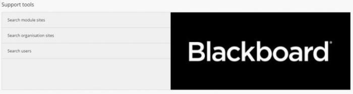 search tools in Blackboard homepage