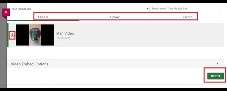 Select the video and click insert