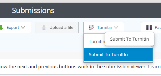 submit to turnitin